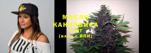 стафф Верхний Тагил