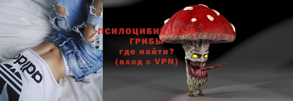 стафф Верхний Тагил